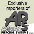 American Piercing Systems banner 12 12 feb 08